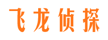 镇康市调查公司